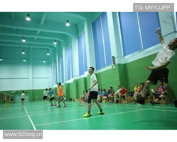 对话王丽:回顾羽毛球生涯的辉煌与挑战 对话王丽:回顾羽毛球生涯的辉煌与挑战